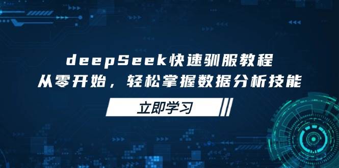 deepSeek快速驯服教程，从零开始，轻松掌握数据分析技能-占领资源网