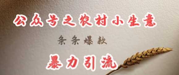 deepseek写农村小项目，条条爆款，暴力引流-占领资源网