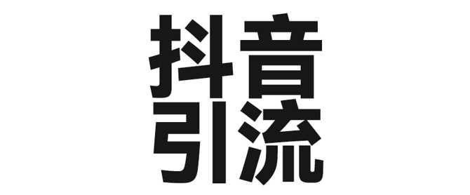 2025年抖音最新暴力引流法，只需一个视频加一段文字，简单操作，单日引300+创业粉-占领资源网