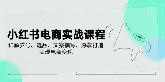 小红书电商实战课程，详解养号、选品、文案撰写、爆款打造，实现电商变现-占领资源网