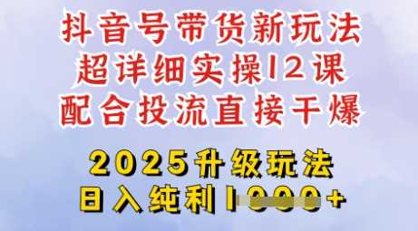 2025全新升级抖音带货玩法，一天纯利四位数，从剪辑到选品再到发布投流，超详细玩法揭秘-占领资源网