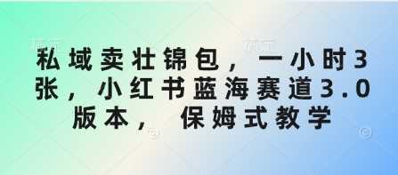私域卖壮锦包，一小时3张，小红书蓝海赛道3.0版本， 保姆式教学-占领资源网