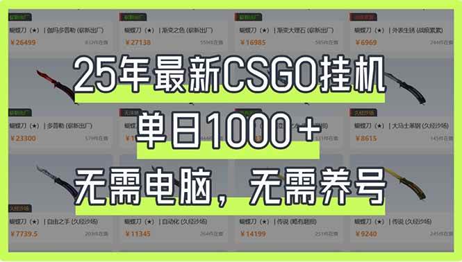 （14178期）25年最新CSGO挂机系统，单日1000+，无需电脑，无需养号，0基础可上手-占领资源网
