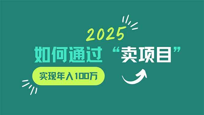 （14176期）2025年如何通过“卖项目”实现年入100万-占领资源网