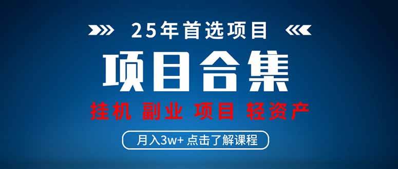 （14175期）2025 实操项目合集 挂机类型 直播类型 轻资产创业类型 课程分享各项目…-占领资源网