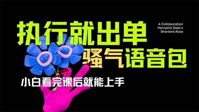 （14170期）爆火全网的开车导航骚气语音包,只要执行就出单，小白看完课程就能实操…-占领资源网