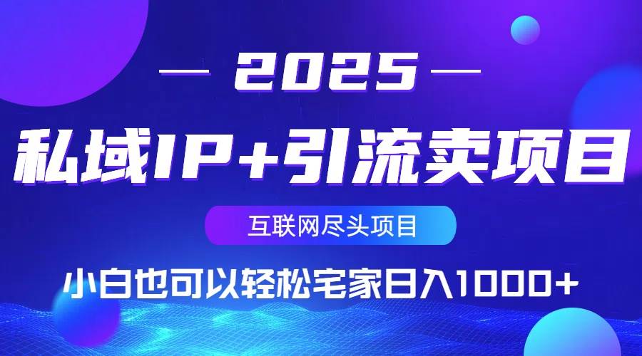 （14151期）私域IP+引流卖项目，小白也可以做到轻松宅家日入1000+-占领资源网