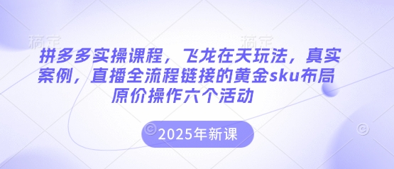 拼多多实操课程，飞龙在天玩法，真实案例，直播全流程链接的黄金sku布局原价操作六个活动-占领资源网