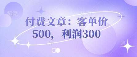 付费文章：客单价500，利润300-占领资源网