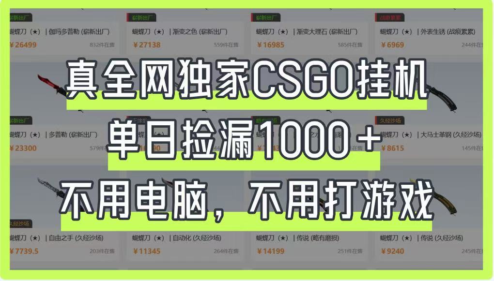 真全网独家CSGO挂机，单日捡漏1000+，不用电脑，不用养号-占领资源网