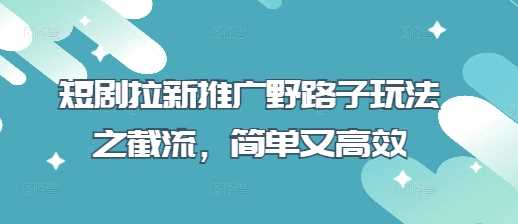 短剧拉新推广野路子玩法之截流，简单又高效-占领资源网