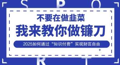韭菜生涯终结者，我来教你做镰刀，2025如何通过“知识付费”实现财F自由【揭秘】-占领资源网