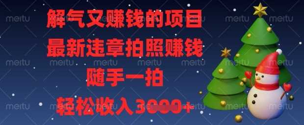 解气又挣钱的项目，最新违章拍照挣钱，随手一拍，轻松收入数张【揭秘】-占领资源网