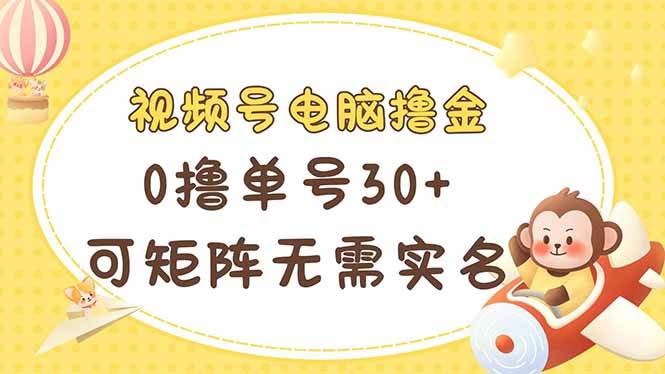 （14220期）视频号电脑撸金 0撸单号30+ 可矩阵 无需实名多号多得-占领资源网