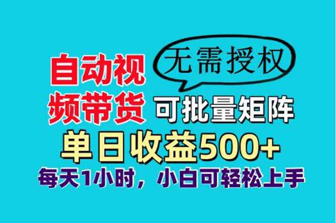 （14229期）自动视频带货，可批量矩阵，单日收益500+、轻松实现睡后收益，小白可…-占领资源网
