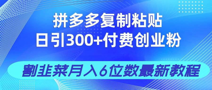 （14232期）拼多多复制粘贴日引300+付费创业粉，割韭菜月入6位数最新教程！-占领资源网