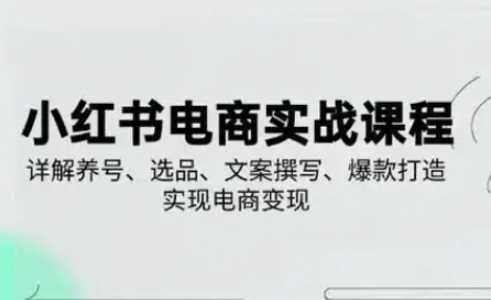 小红书从0-1实操课(2023-2025)，详解养号、选品、文案撰写、爆款打造实现电商变现-占领资源网