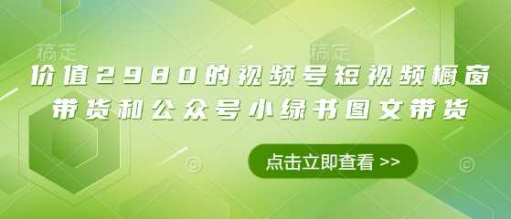 价值2980的视频号短视频橱窗带货和公众号小绿书图文带货-占领资源网