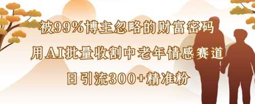 被99%博主忽略的财富密码：用AI批量收割中老年情感赛道，日引流300+精准粉-占领资源网