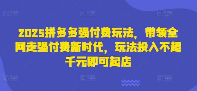 2025拼多多强付费玩法，带领全网走强付费新时代，玩法投入不超千元即可起店-占领资源网