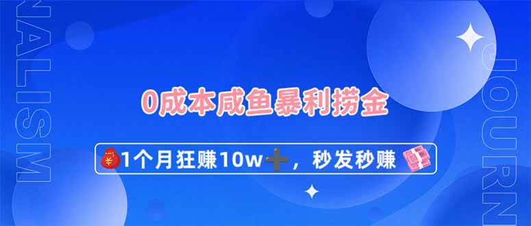（14257期）0成本闲鱼暴利捞金，1个月狂赚10W+，秒发秒赚新玩法-占领资源网