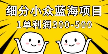 细分小众蓝海项目，一单利润3张，每月收入稳定过1w+-占领资源网