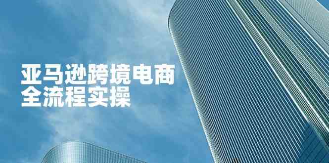 亚马逊跨境电商全流程实操，教你从零开始，掌握店铺运营与广告技巧-占领资源网