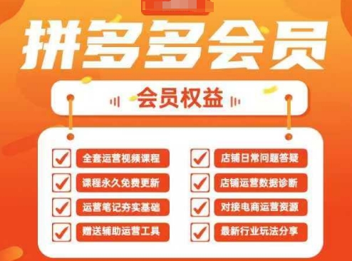 2025拼多多运营实战课，40节全流程教学，覆盖拼多多运营全链路-占领资源网