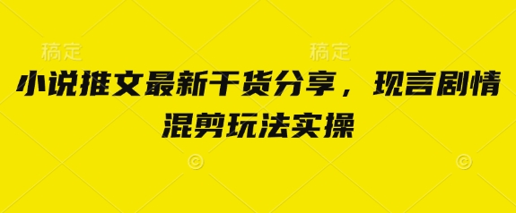 小说推文最新干货分享，现言剧情混剪玩法实操-占领资源网