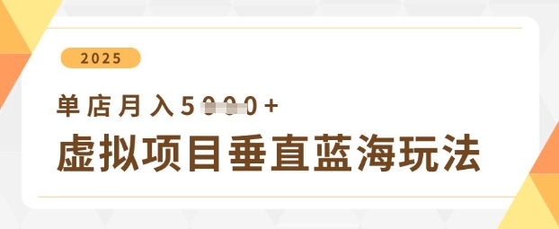 虚拟项目垂直玩法，实现单店月入5k+-占领资源网