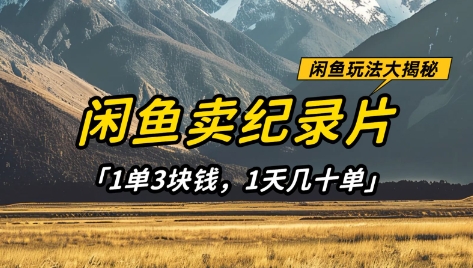 闲鱼卖纪录片1单3块钱，1天几十单，项目稳定有潜力-占领资源网