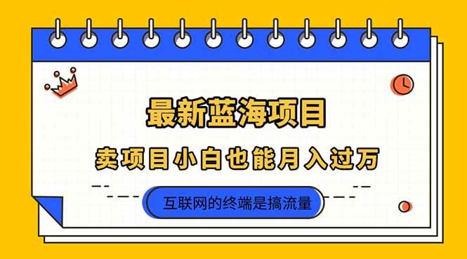 （14289期）2025年最新蓝海项目，卖项目小白也能月入过万-占领资源网