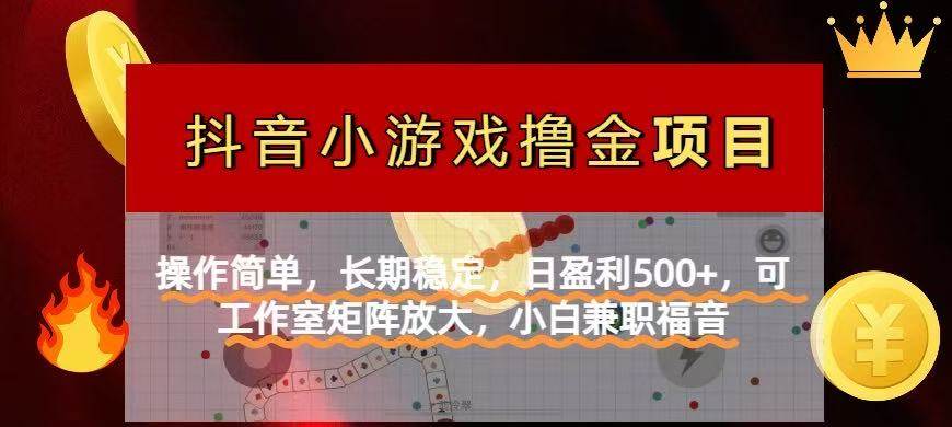 （14290期）【抖音小游戏发行人计划项目】操作简单，长期稳定，日盈利500+，可工作…-占领资源网