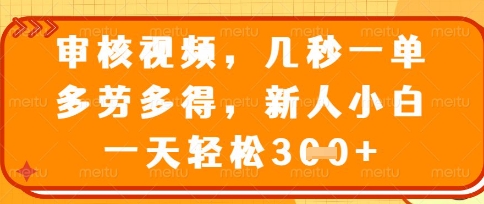 最新审核视频，几秒一单，多劳多得，新人小白一天轻松3张【揭秘】-占领资源网