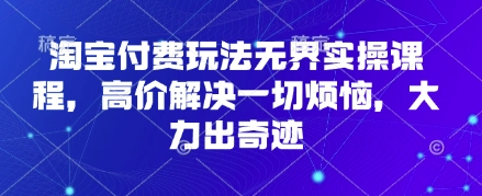 淘宝付费玩法无界实操课程，高价解决一切烦恼，大力出奇迹-占领资源网