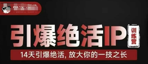 引爆绝活IP训练营，14天引爆绝活，放大你的一技之长-占领资源网