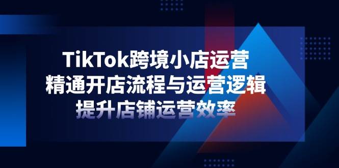 （14369期）TikTok跨境小店运营，精通开店流程与运营逻辑，提升店铺运营效率-占领资源网