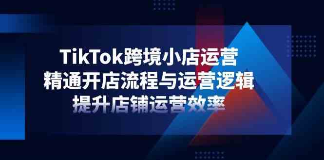 TikTok跨境小店运营，精通开店流程与运营逻辑，提升店铺运营效率-占领资源网