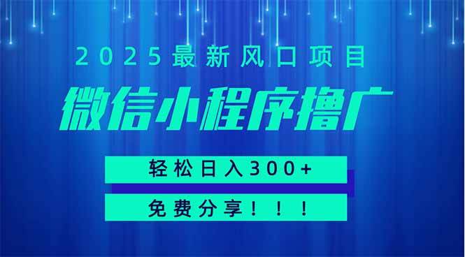 （14375期）微信小程序撸广，最新风口项目，日入300+ 免费分享 可批量操作 小白可…-占领资源网