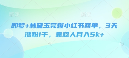 即梦+林黛玉完爆小红书商单，3天涨粉1千，靠怼人月入5k+-占领资源网