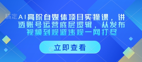 AI高阶自媒体项目实操课，讲透账号运营底层逻辑，从发布视频到规避违规一网打尽-占领资源网