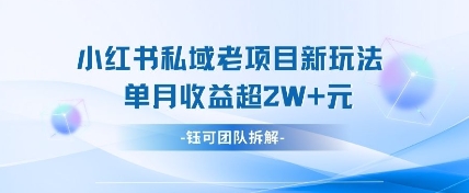 小红书私域项目新玩法，单月变现过W+-占领资源网