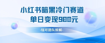 小红书冷门”暗黑”赛道，单日收益多张-占领资源网