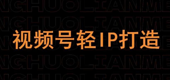 视频号线上课程，视频号轻IP打造-占领资源网