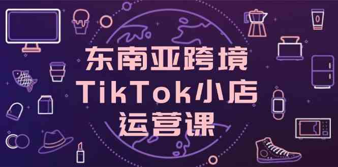 东南亚跨境TikTok小店运营课，掌握店铺设置与流量转化核心技巧-占领资源网