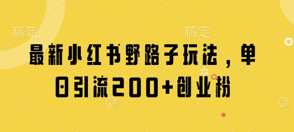 最新小红书野路子玩法，单日引流200+创业粉-占领资源网