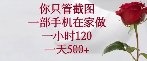 你只管截图，一部手机在家做，苹果安卓都可以，一小时120，一天5张+【揭秘】-占领资源网