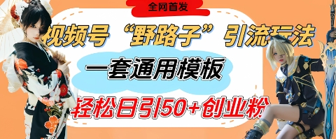 视频号“野路子”玩法，评论区疯狂截流，一套模板单日单号引流50+创业粉-占领资源网