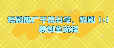 短剧推广干货分享，豹剧 1:1原创全流程-占领资源网