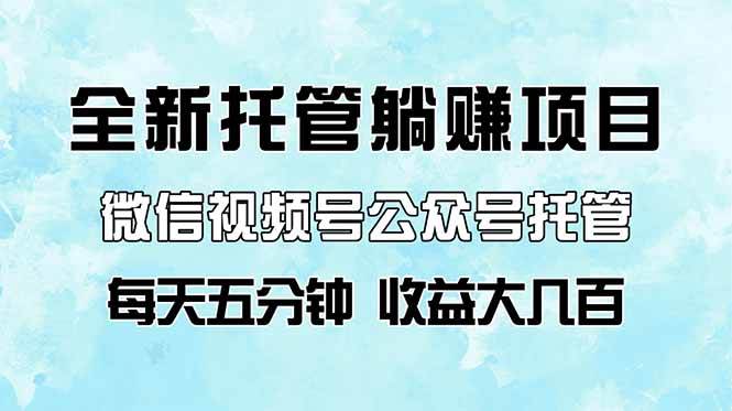（14425期）全新托管躺赚项目，微信视频号公众号托管代运营，每天五分钟，收益大几百-占领资源网
